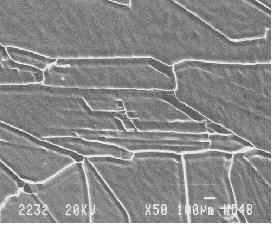 wpe6.jpg (9103 bytes)
