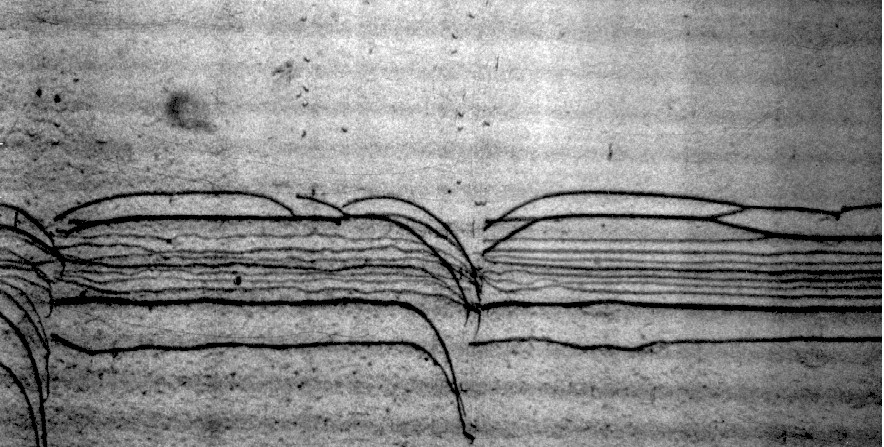 webdislo.jpg (167331 bytes)
